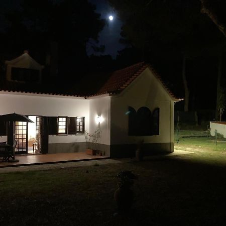 Moradia No Pinhal Com Piscina - Espaco E Privacidade Para As Suas Ferias! シントラ エクステリア 写真