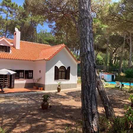 Moradia No Pinhal Com Piscina - Espaco E Privacidade Para As Suas Ferias! シントラ エクステリア 写真