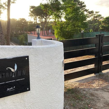 Moradia No Pinhal Com Piscina - Espaco E Privacidade Para As Suas Ferias! シントラ エクステリア 写真