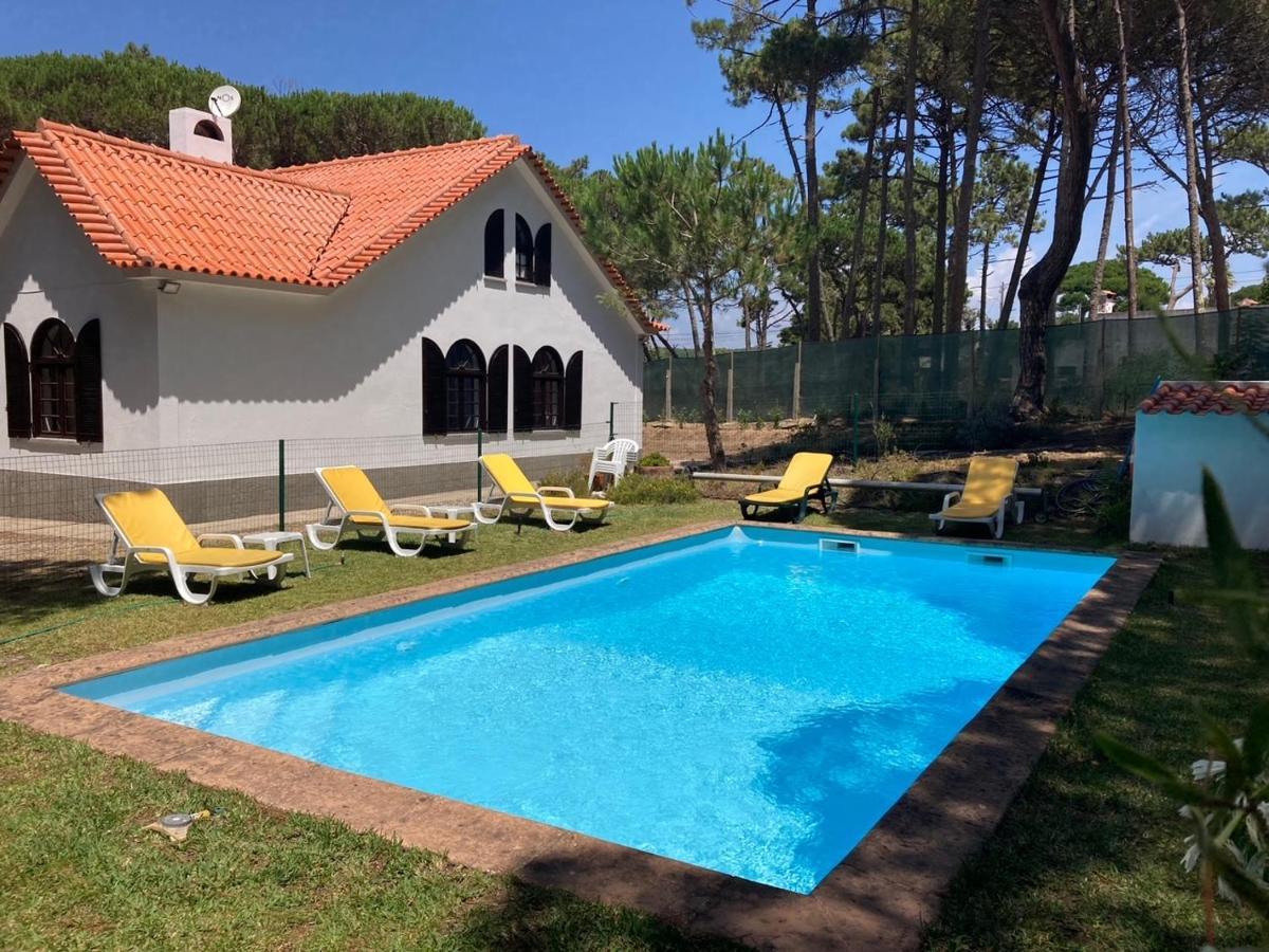 Moradia No Pinhal Com Piscina - Espaco E Privacidade Para As Suas Ferias! シントラ エクステリア 写真