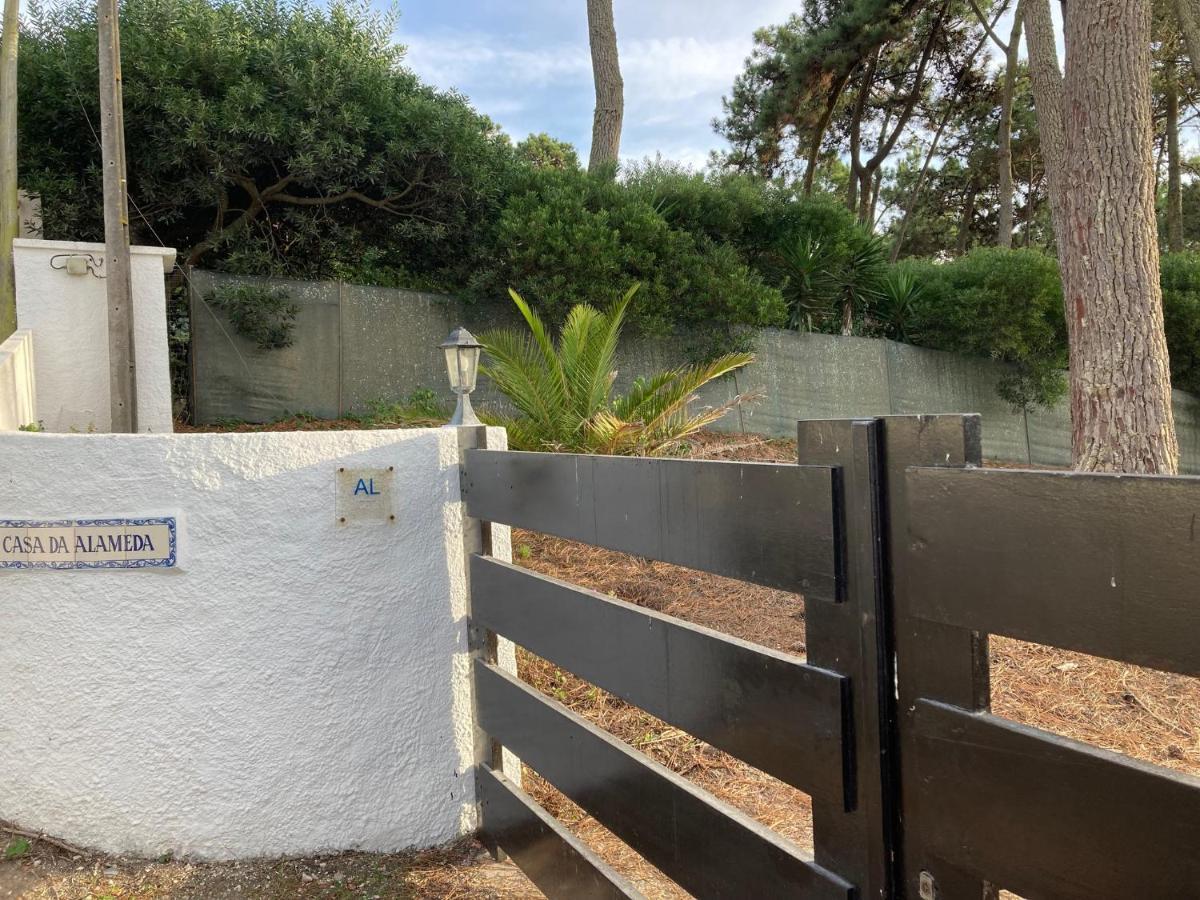 Moradia No Pinhal Com Piscina - Espaco E Privacidade Para As Suas Ferias! シントラ エクステリア 写真