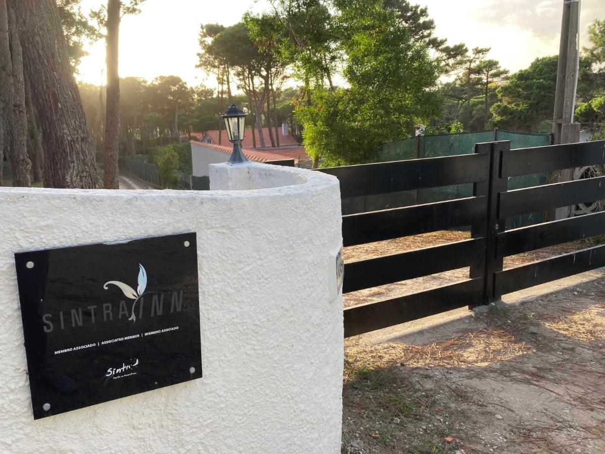 Moradia No Pinhal Com Piscina - Espaco E Privacidade Para As Suas Ferias! シントラ エクステリア 写真